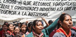 Reforma indígena y afromexicana “deliberadamente deja fuera elementos fundamentales”, advierten organizaciones.