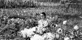 Exhiben versión restaurada de María Candelaria.