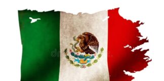 Cómo demoler al Estado en cuatro sesiones exprés .