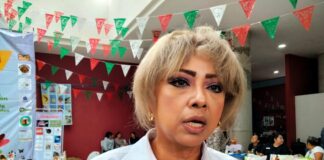 Se han registrado en Xalapa 280 casos de dengue: Olga Alarcón .