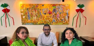 PVEM no trabajará con los Yunes: Marcelo Ruiz