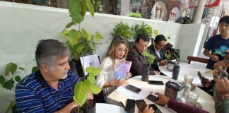 Organizaciones, escuelas y empresas llevarán a cabo una gran campaña de reforestación en Xalapa.