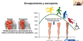 Antioxidante epicatequina, opción para quienes pierden masa muscular .