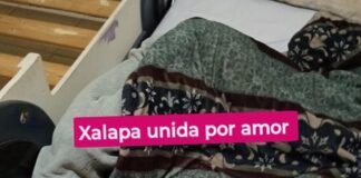 Asociación pide ayuda para Don Luis Antonio, encontrado en Xalapa en situación de abandono