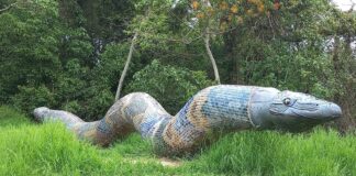 SEDEMA reconoce que no podrán resarcir daño a la “Serpiente Emplumada” del parque Natura,