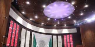 La Cámara de Diputados aprobó reducir a 65 años la edad para recibir pensión…