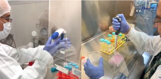 Identifican biomarcadores para detección temprana del cáncer de mama .