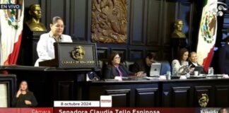 Rocío Nahle y Ernesto Pérez anuncian inversión de 3 mil mdd .