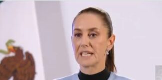 Sheinbaum descarta reunirse con Norma Piña .