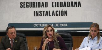 Comisión de Seguridad Ciudadana trabajará para contribuir con reformas legales que ayuden a lograr la paz en el país: Jessica Saiden