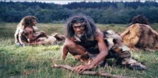 Con la 4T, retorno a las cavernas .