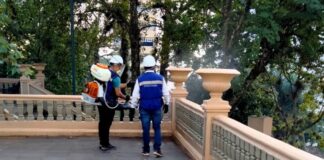 Realiza Ayuntamiento de Xalapa fumigación para eliminar plaga en el parque Juárez