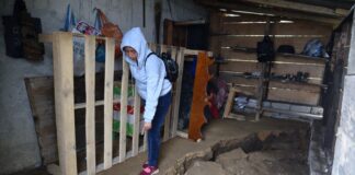 Sucumbir en el olvido #Guerrero