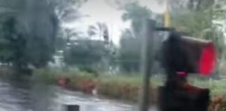 Xalapa y Coatzacoalcos con afectaciones por lluvias y fuertes vientos.