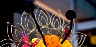 Continúan las actividades en Xalapa para celebrar el Día de Muertos