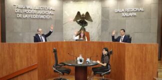 TEPJF revoca fallo del TEV y devuelven a Elizabeth Morales la plurinominal.