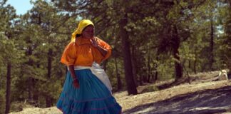 Logran amparo para proteger comunidad rarámuri desplazada por el crimen organizado.