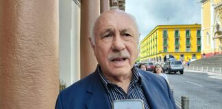 Las redes de FESAPAUV (1)