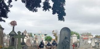 Veracruz se ubica en el tercer lugar nacional con más casos de dengue.