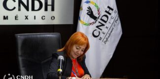 CNDH débil y subordinada: Centro Pro.