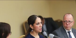 Coches bombas y otras artimañas oficialistas.