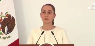 Claudia Sheinbaum califica a Claudio X González como “junior tóxico, el activista responde 👇