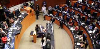 Morena propone reformas que contravienen disposiciones internacionales y afecta derechos de mujeres: Tagle