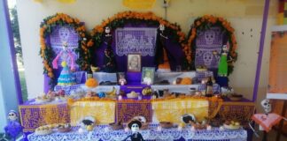 Normal Veracruzana expone altares y catrinas por día de Todos Santos.