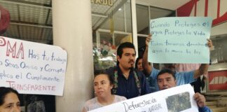 En Coatepec hay extracción ilegal de materiales pétreos en área natural protegida: Organización LaVida