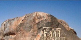 LA ESTELA DEL HAMBRE.