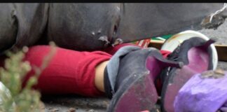 El discurso de odio precede a los crímenes atroces ##HazUnaPausaAntesDeCompartir)