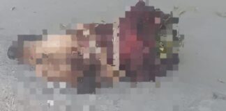 Animalistas de Veracruz exigen un alto total al maltrato animal.