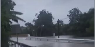 El Acuario y otras desgracias