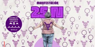 Día Internacional de la Eliminación de la Violencia contra la Mujer #25N