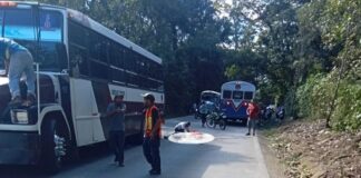 Atropellan a un trabajador en carretera Coatepec-Xico.