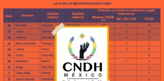 Defensoras llaman a no reelegir a Rosario Piedra en CNDH y dar paso a perfil autónomo .