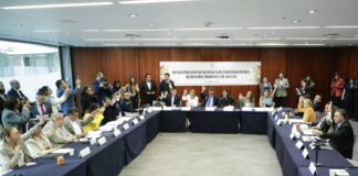 Aprueban en comisiones terna para presidir la Comisión Nacional de los Derechos Humanos