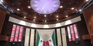 Por unanimidad, la Cámara de Diputados aprobó reformas a la Constitución para prohibir el maltrato a los animales.