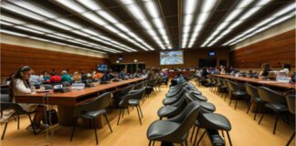 CEDAW urge a Cuba proteger y garantizar seguridad de mujeres periodistas y activistas.