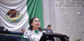 Plantea diputada incorporar el bienestar animal como competencia de una Comisión .