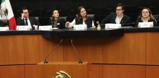 Congreso de la Unión debe garantizar los derechos de acceso a la información y de protección de datos personales