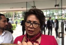 Delia: técnica y política al Congreso