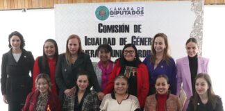 Diputadas realizarán 16 días de activismo contra la violencia hacia las mujeres.
