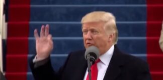 Activistas cubanos reaccionan a triunfo de Donald Trump: “El pueblo cuenta”.