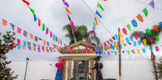 Regresa el festival “Festejando a la Muerte” en Xalapa