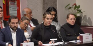 Titular de Salud reconoce que Veracruz no tiene servicios médicos como los de Dinamarca.