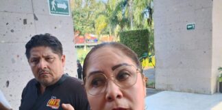 La senadora Claudia Tello