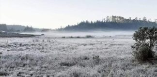 #Veracruz: Zelayeta en Perote amanece a seis grados bajo cero .