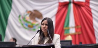 Propone diputada crear el Programa Veracruzano para la Atención y Cuidado Infantil .