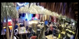 Crimen organizado o Terrorismo .